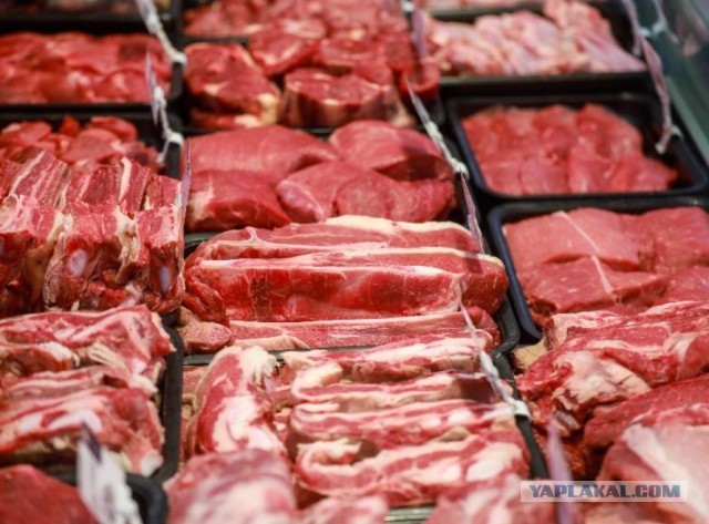 «Мираторг» не видит перспектив развития в мясном скотоводстве
