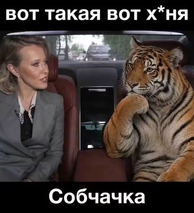Картинки для деградации 266 (разной степени свежести)
