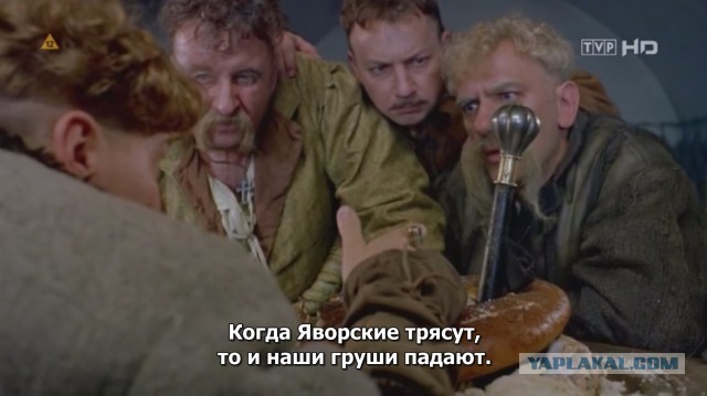 «Ещё соседские или уже мои?» Кому принадлежат плоды из-за забора