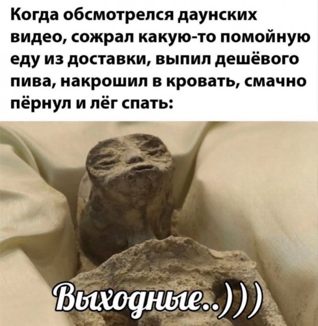 Если жизнь дала тебе лимон — сделай лимонад. Если жизнь дала тебе помидор — не пытайся сделать лимонад.