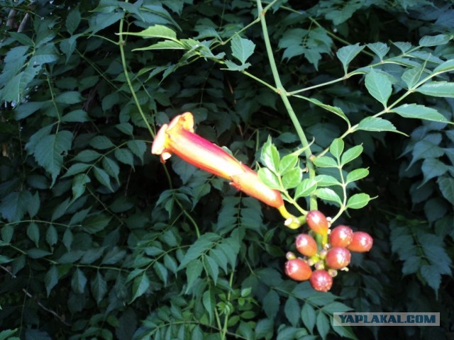 Крым: Судак и окрестности