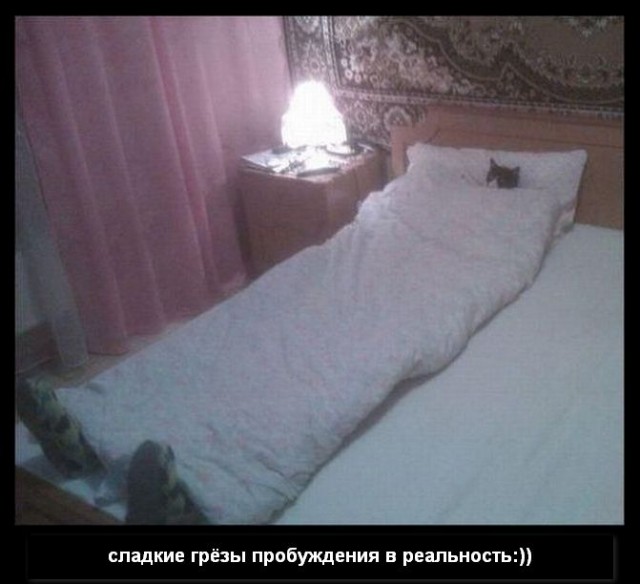 Котейка, который не знает как лежат котейки