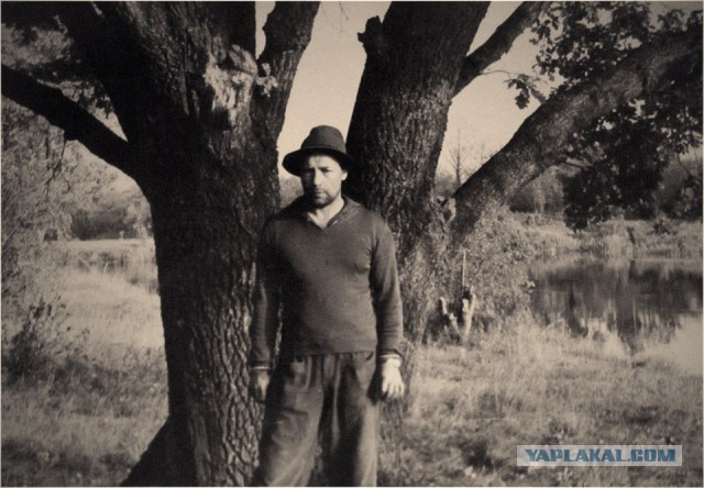 Год одна тысяча девятьсот восьмидесятыый