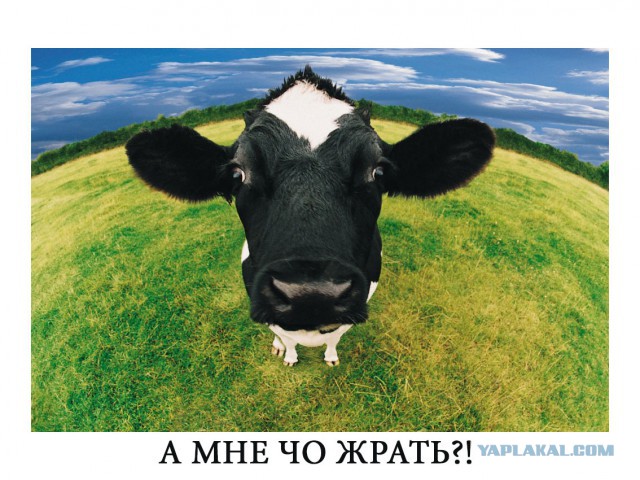 Самый дешёвый и экологичный дом