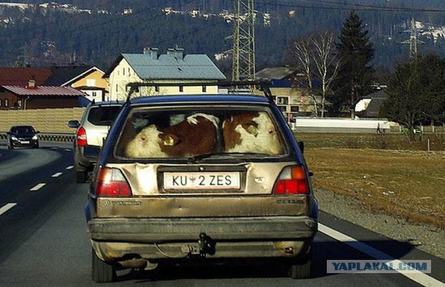 Как оно туда влезло?