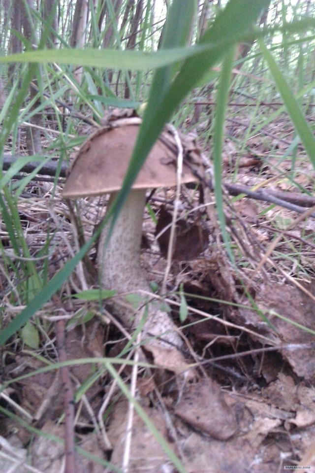 Просто выходные...