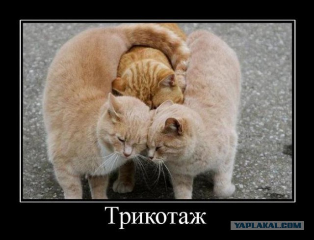 Чёрт, чёрт, чёрт!