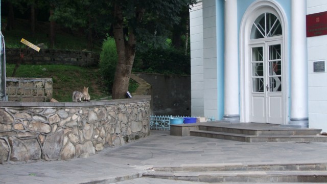 Железноводск захватили