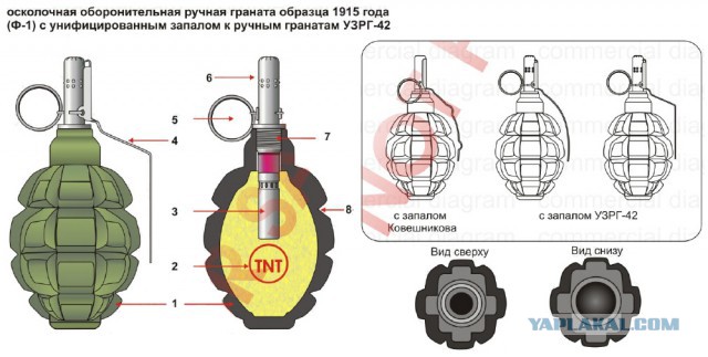 Почему гранату Ф-1 называют «лимонкой» ?