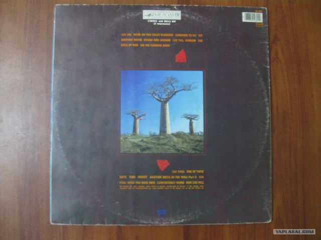 Виниловый пост