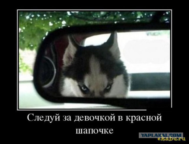 Демотиваторы на Субботу