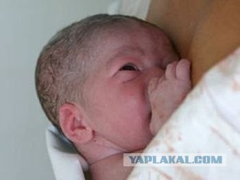 Родила в самолете