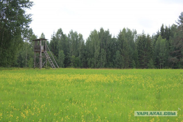 Славянская Душа