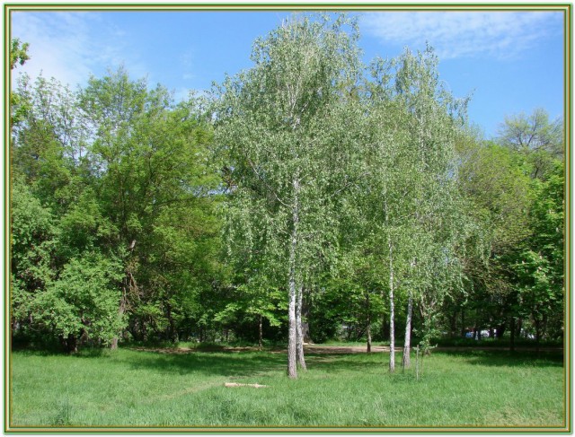 Деревенская Америка - 2