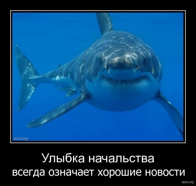 Подборка интересных и веселых картинок