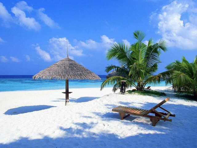 Моменты, запечатлённые на фото и просто позитив 5