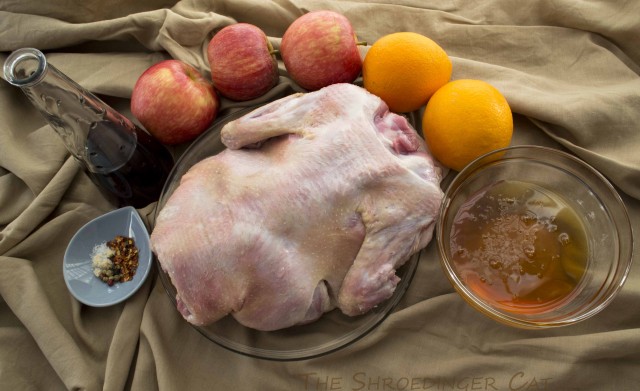 International одной книги., В память о Дженибеке.