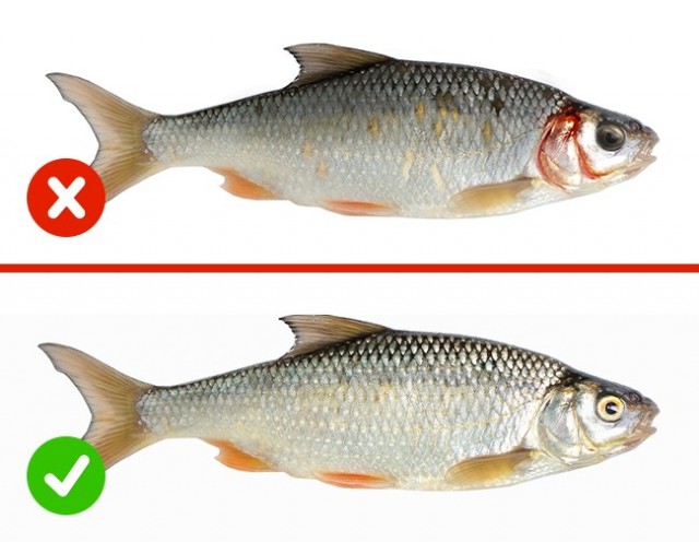 10 способов проверить качество продуктов, которые вы едите каждый день