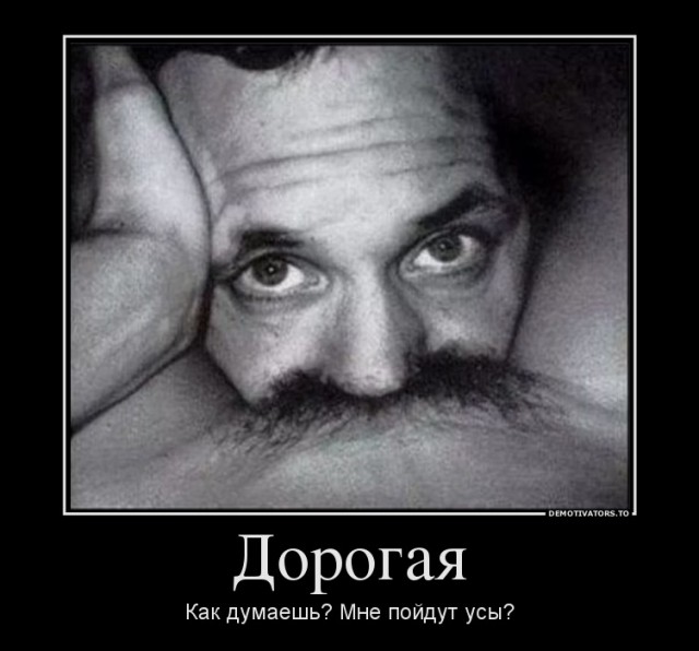 Не, ну это уже ни в какие ворота...