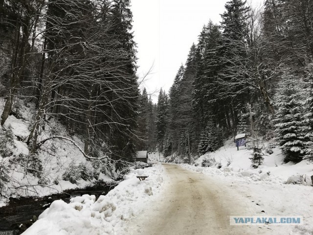 Как я опять съездил на Западную Украину (НГ 2018)