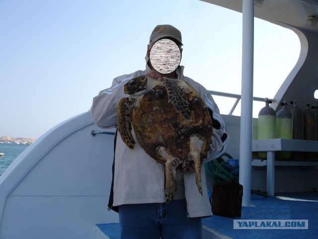 Лично мне не нужен берег турецкий