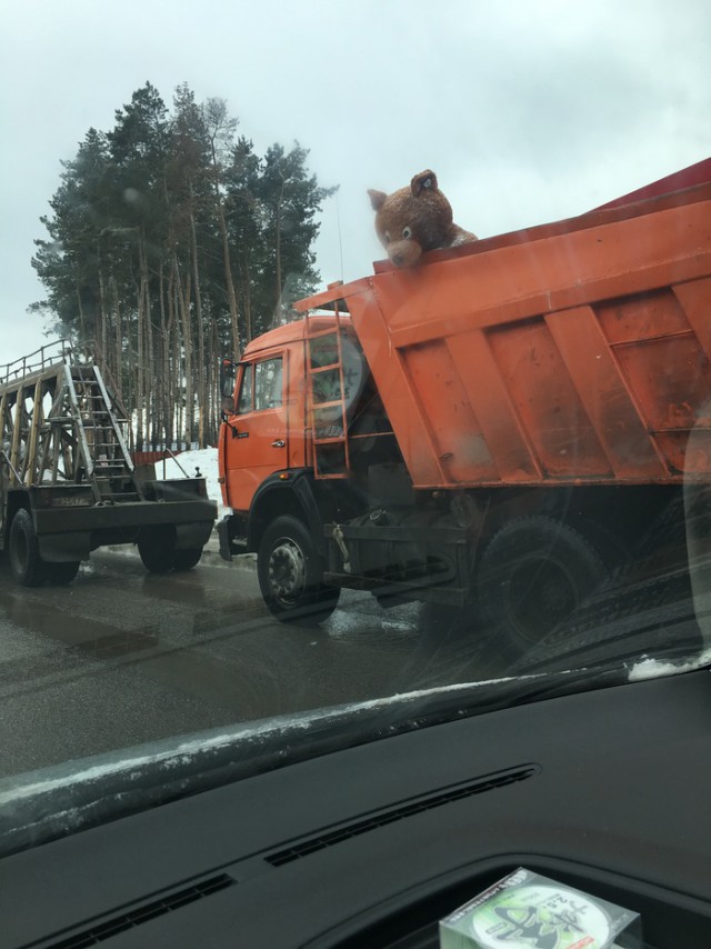 Подборка интересных и веселых картинок