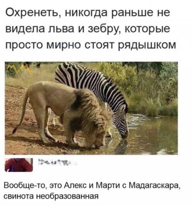 Нестандартный юмор