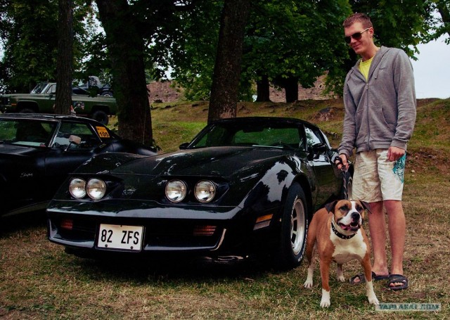 American Beauty Car Show 2011