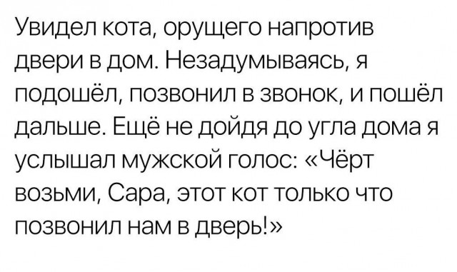 Не очень адекватный юмор