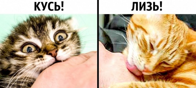 Дорогие мужчины, помните о главном...