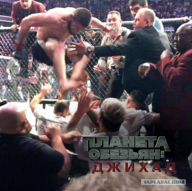Глава UFC не исключил лишения Нурмагомедова титула чемпиона