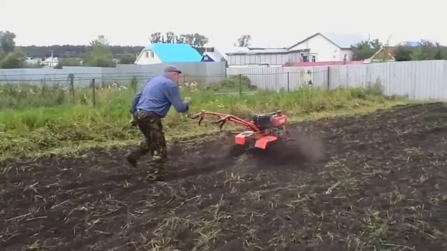 WTF: что тут происходит?