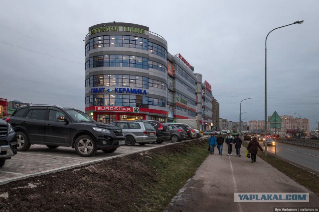 Почему в Москве столько «грязной жижи»: есть объяснение властей