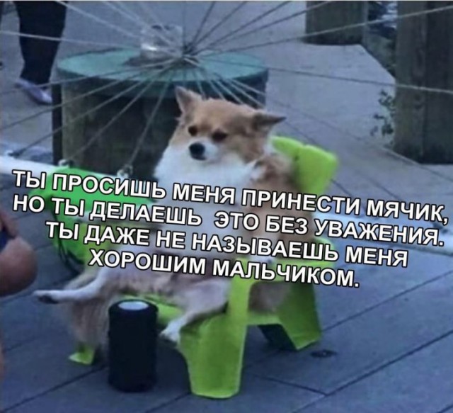 Фото и картинки с надписями