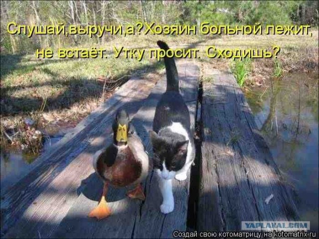 Улыбнитесь,они старались