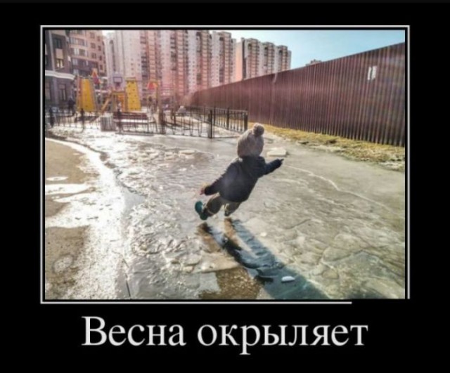 Картинки в черных рамках с подписями