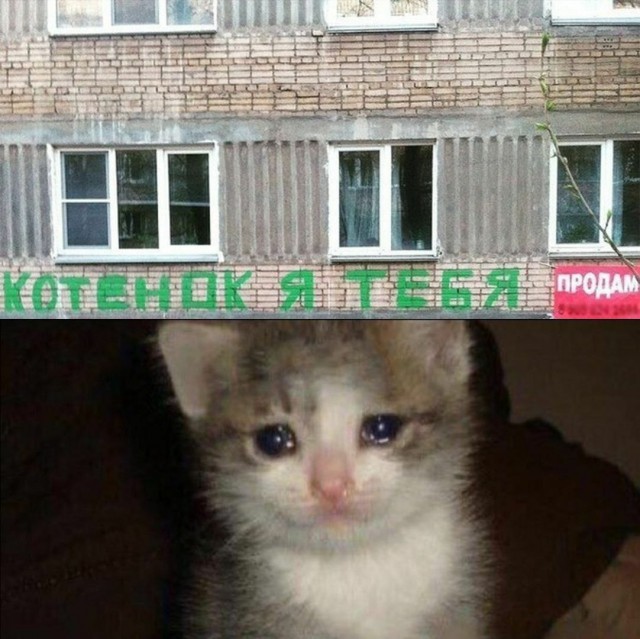 Картинки с надписями и анекдоты