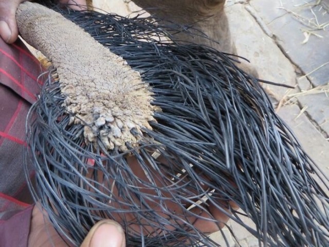 24 повседневные вещи, какими вы их вряд ли видели