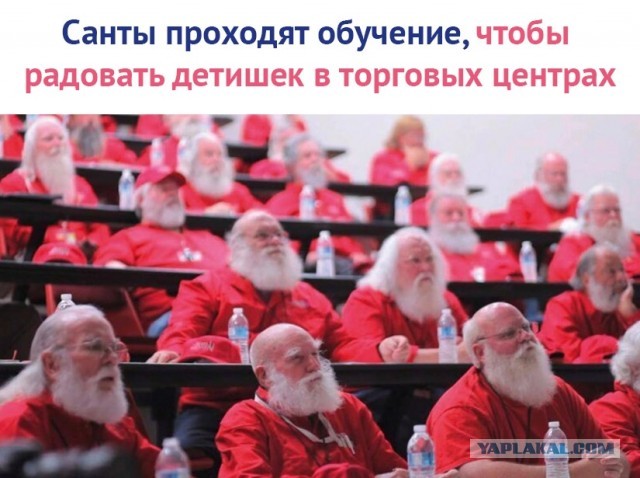 20 фотографий, где цвет играет главную роль