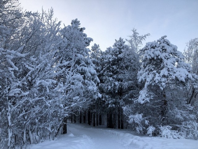 Немного зимних фото