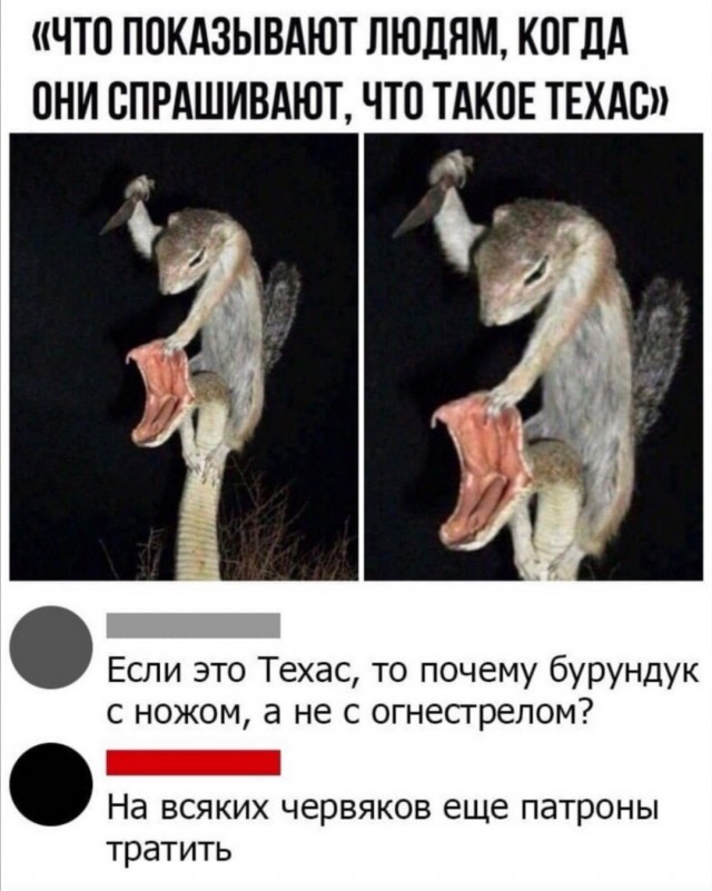 Бредзона 03.02.2020