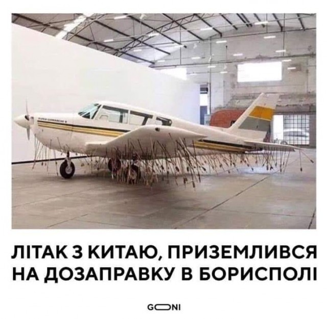 "Китайские украинцы" прибыли в Новые Санжары