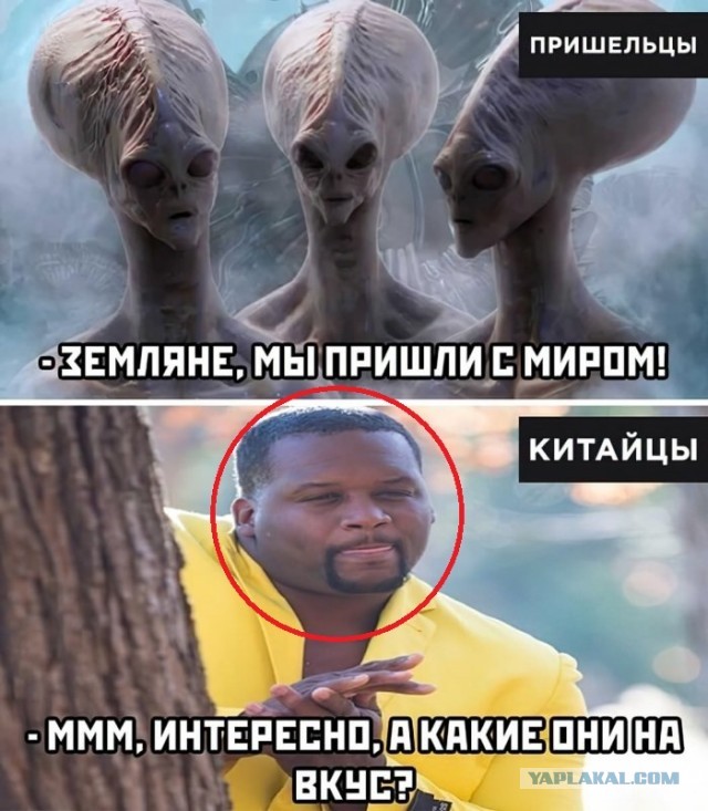 Немного картинок для настроения 06.04.20