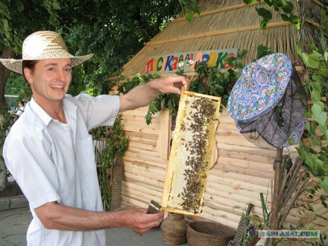 Кризис коснулся всех