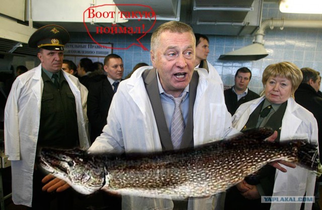 Жириновский