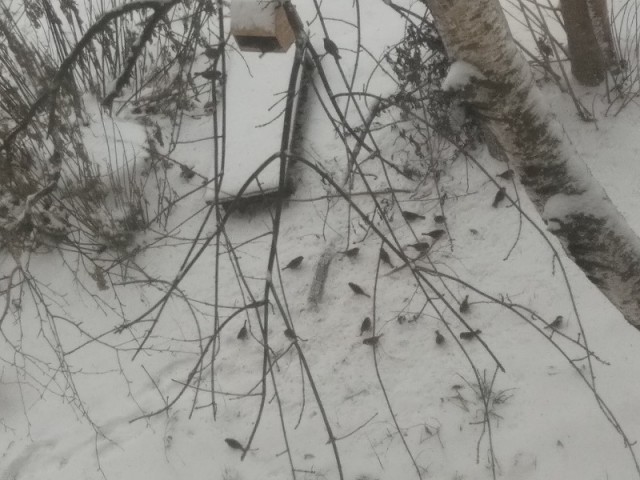 Неновогодний пост
