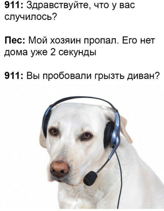 Картинки и мемы для настроения 015