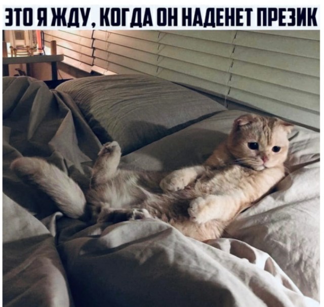 Пятница. И немного слегка пошлых картинок с надписями и без 16+ (02.10)