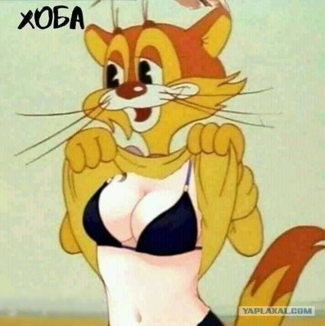 Не пропускай день деградации!