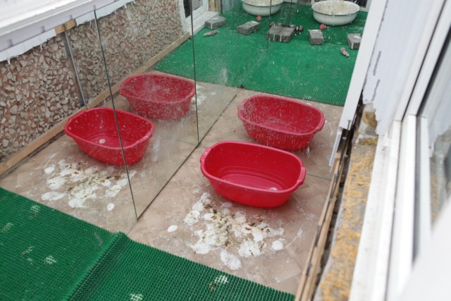 Ворон: Купание